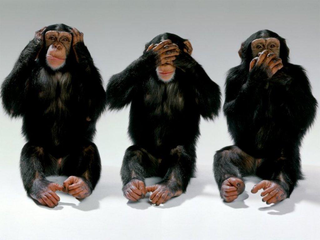 chimps.jpg